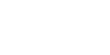 wellnes white logo